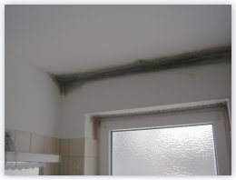 Schimmelbefall tritt meistens an Ecken von Decken und Fenstern auf